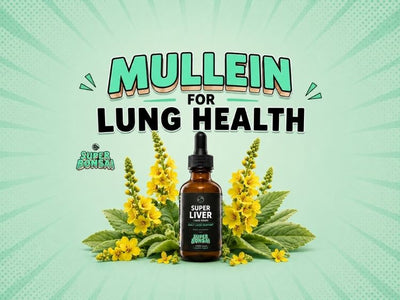 Mullein for Lung Health by Super Bonsai
