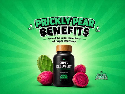Prickly Pear Benefits featured image showing SuperBonsai Super Recovery bottle
