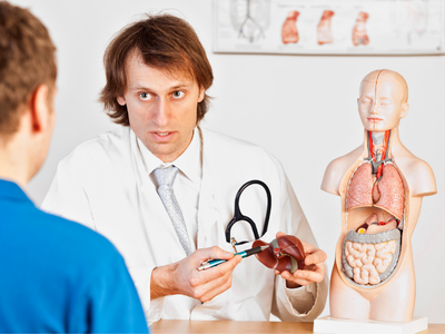 Doctor explaining liver health to a patient