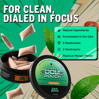 Super Focus Pouch infographic. The image shows a black round tin of the product, an open tin with several beige rectangular pouches floating out, large green leaves, and a green information panel listing ingredients and flavor.