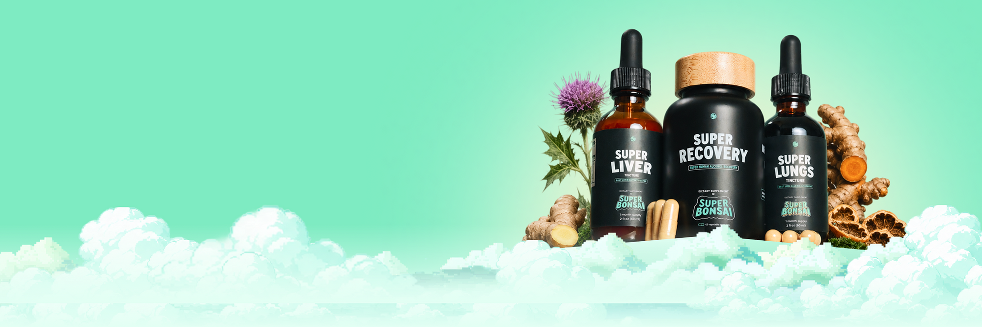 Natural Herbal supplements for life's modern problems
