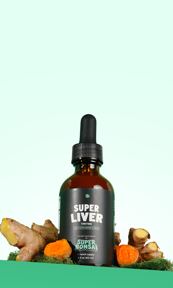 Why Liver Health Matters
