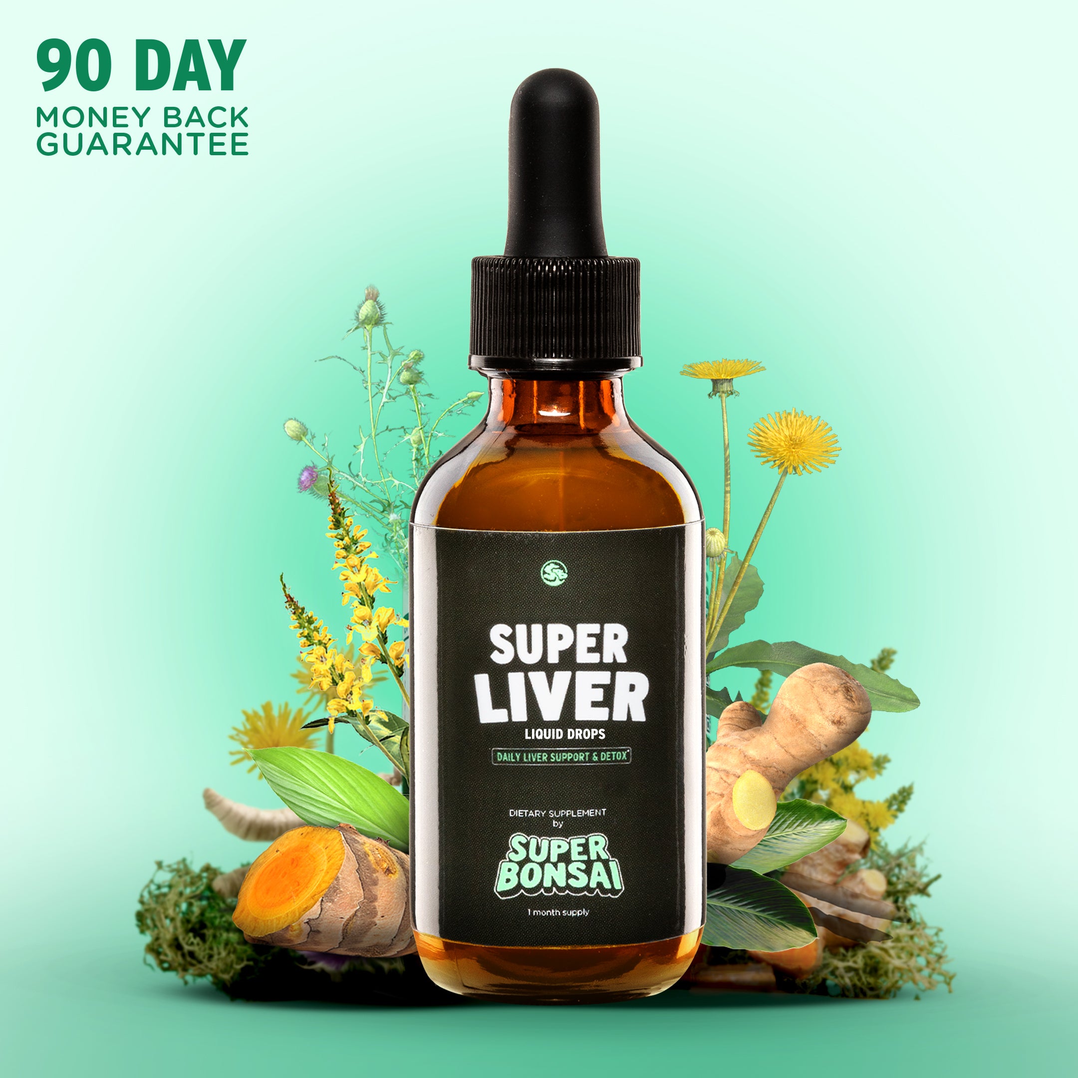 Front of Super Liver drops bottle with black dropper, herbs and turmeric on mint background and 90 DAY MONEY BACK GUARANTEE
