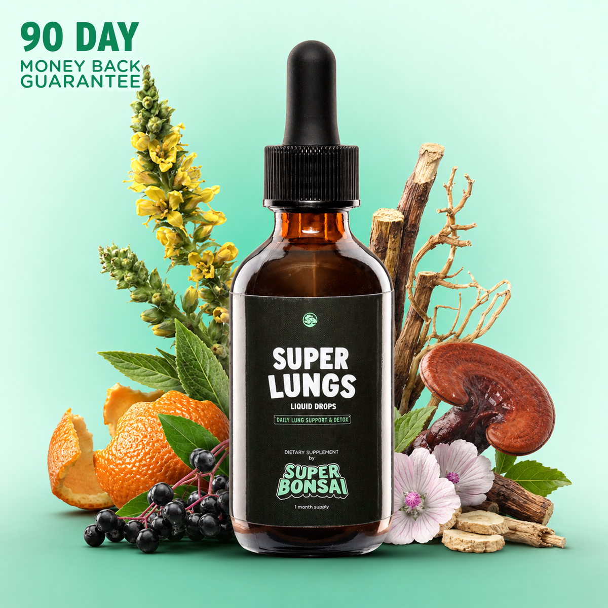 A bottle of Super Lungs liquid drops supplement centered on a mint green background, surrounded by botanical ingredients including orange slices, flowers, berries, mushrooms, and branches. The bottle has an amber glass body, black dropper cap, and a black label with white and green text.