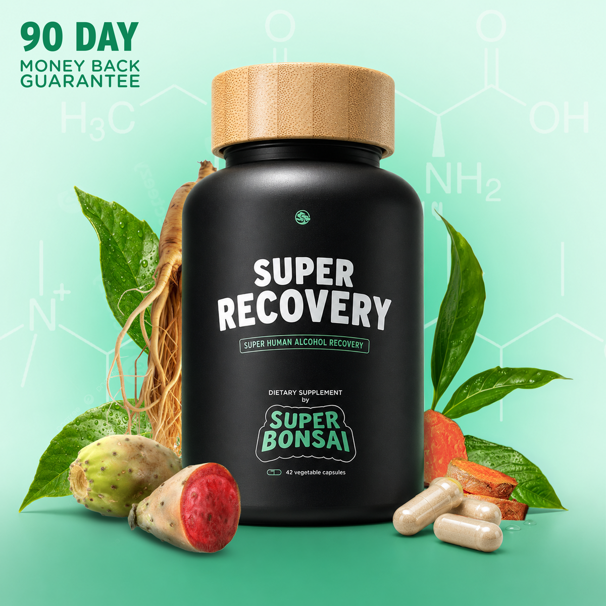 Super Recovery
