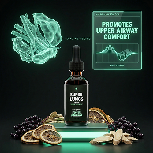 THE SCIENCE BEHIND INGREDIENTS